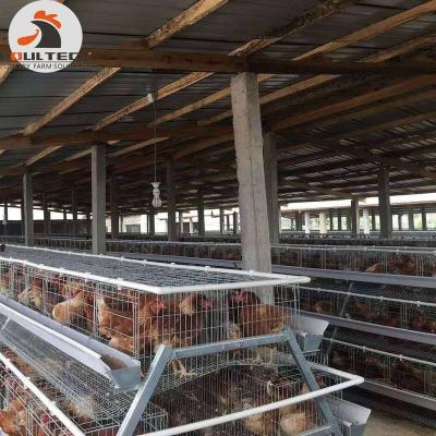 China Eco - Friendly Animal Cage Poultry Cages Chicken Cage Use For Layer Battery Cage for sale