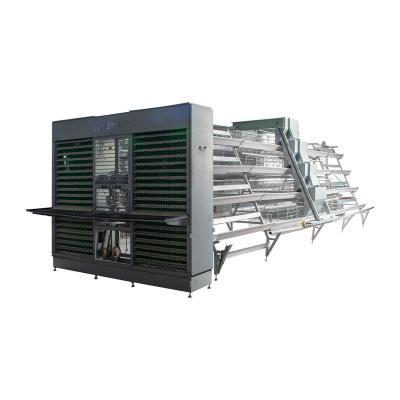 China Farms Chicken Cage Poultry Raising Cage With Fully Automatic Battery Layer Cage A Type Equipment System for sale