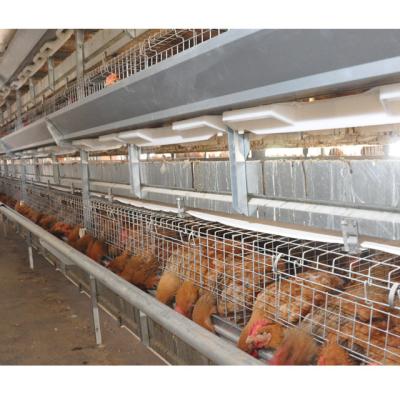 China Farms H Type Broiler Cage Fully Automatic Feeding And Drinking Equipment For Broiler Poultry Farm Best Price for sale