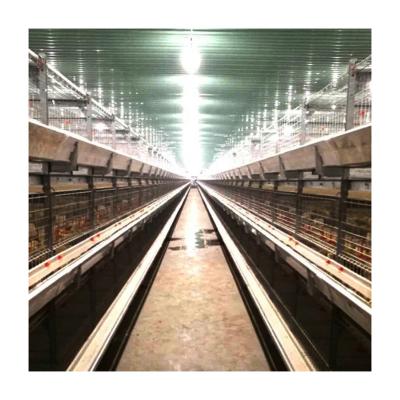 China Automatic silver star tops a type hot selling new type chicken cage for broilers for sale