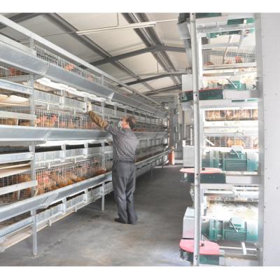 China Good Quality Fully Automatic Cheap Full Automatic Broiler Equipment H Type Cage for sale