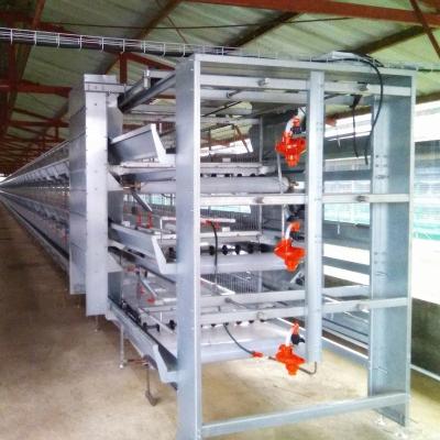 China Corrosion Resistant Battery Poultry Cages For Broiler Poultry Farm Hold 10000 Birds In House for sale