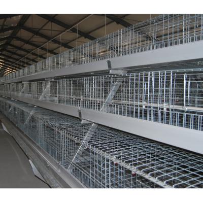 China Cultivate One Type Beoiler Chicken Cage 3-4 Rows Poultry Farm Equipment Price Hot Selling Broiler Chicken Farm Good for sale