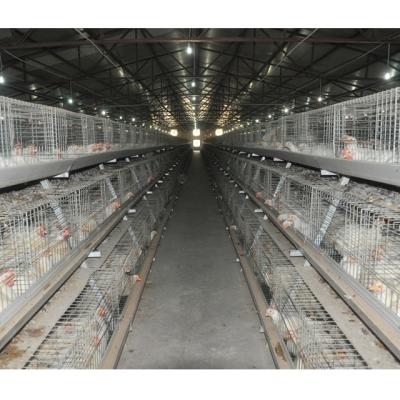 China Global Hot Sale A Type Broiler Chicken Cage 3 Tiers Poultry Farm Automatic Goods Prices Products for sale