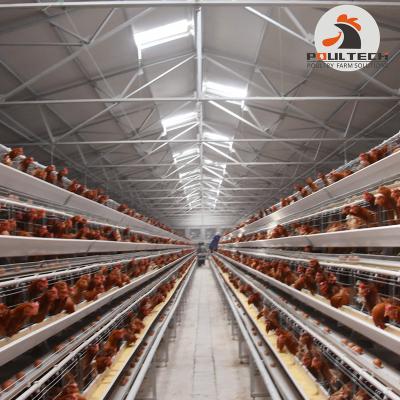 China Farms Layer Battery Cage System Price Poultry For Manual Chicken Layer Cage In Nigeria Ghana Uganda Poultry Chicken Farming for sale