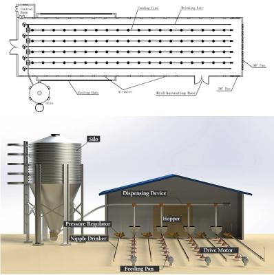 China Raising Management 2022 Best Price Broiler Automatic Flooring Systems Easy Feeding Line for sale