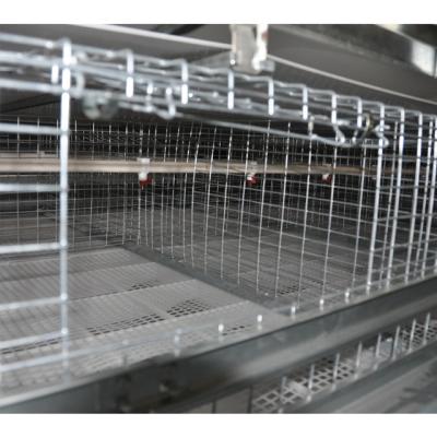 China Farms Broiler H Type Battery Chicken Cage With Automatic Feeding And Drinking For Large Poultry Farm for sale