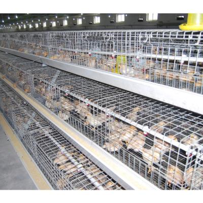 China Farms One Type Pullet Chick Farm 10000 Birds Battery Chicken Cage Automatic Feeding Equipment For Sale From China for sale