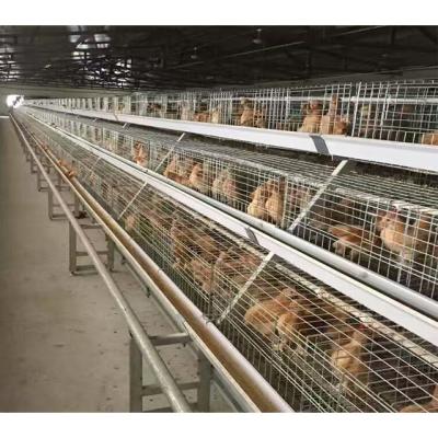 China Farms Puoltry Farm Equipment Pullet Chick Battery Cage With Automatic System for sale