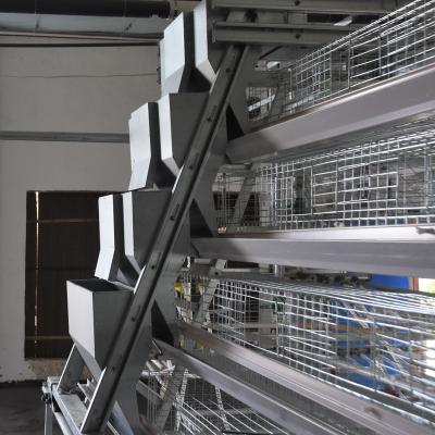 China Good Farms Price A Type Pullet Chicken Battery Cage With Automatic System For Poultry Farming Equipment for sale