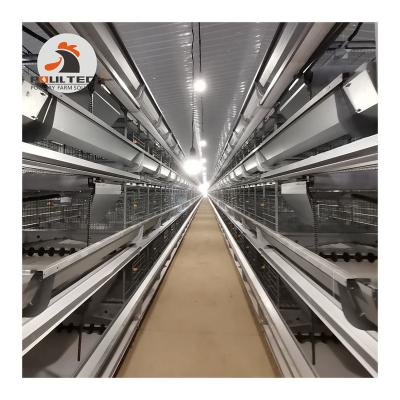 China New design automatic battery egg hens poultry equipment 20 years manufacturer direct cages laying hens/chicken cage for laying hens/metal s for sale