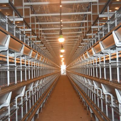 China Full Automatic Poultry Farm House Full Automatic Cheap Chicken Cage for sale