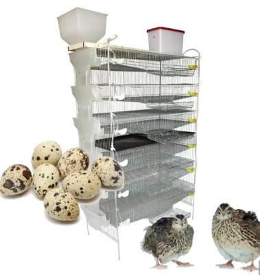 China New good quality full automatic cheap full automatic equipment poultry quail cage for sale