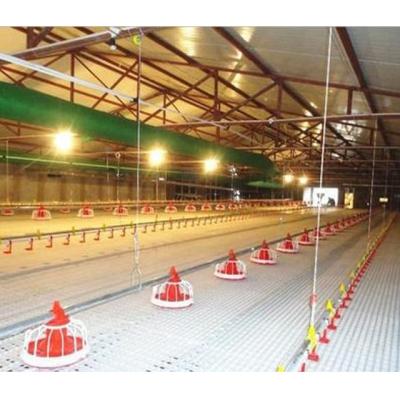 China Easily Install Floor Raising System For Chicken Farm Automatic Feeding System for sale