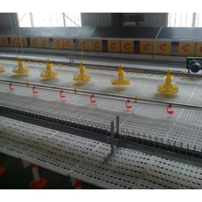 China Easily Install Poultry Farm Floor Raising System For Chicken Farm Automatic Feeding System 10000 Birds/House for sale