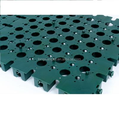 China Industrial Plastic Grass Paver Grill Grid Landscape Grill Car Parking Grill for sale