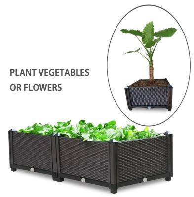 China DIY plant plastic box for planting vegetable and flower indoor free water planting box can be joined two layers three layers for sale