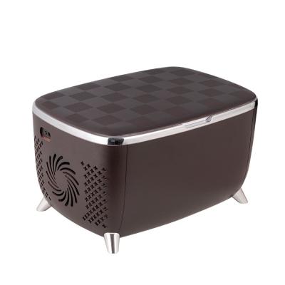 China THERMOELECTRIC Cooler Box 6L OEM Bedroom Table Top Use Skin Care Cosmetic Make Up Fridge for sale