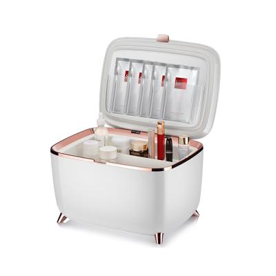 China Wholesale10L THERMOELECTRIC Beauty Home Cosmetic Refrigerator Mini Refrigerator for sale