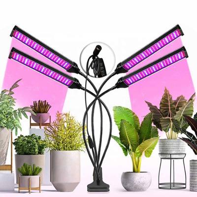 China Seed Starting Wholesale Full Spectrum 10W 20W 30W 40W Led Desk Clip Lamp Blue Red Grow Light With DC12V 3A Adapter for sale