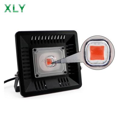 China Plants Veg Grow Flower COB Led Flood Light 50W 100W Full Spectrum Lamp Greenhouse 3GP Outdoor King Led Grow Light For Plant And Microgreens for sale