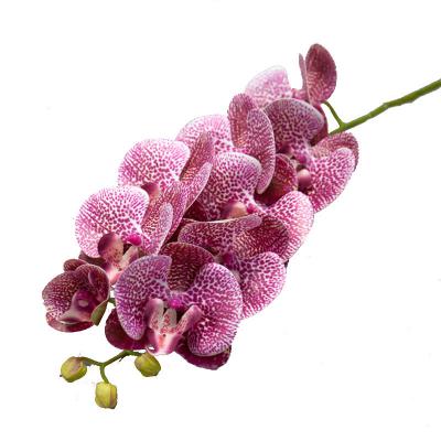 China Fashional Artificial Flowers Wedding Decoration 3D Printing Artificial Flower 9 Heads Real Touch Orchids for sale