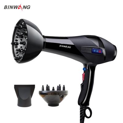 China Other Salon 2200W Hair Dryer Professional Quick Dry AC Motor Low Noise Hair Blow Dryer for sale