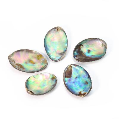 China Wholesale 4~4.5cm Furniture Decoration Polished Natural Colorful Abalone Shell For Furniture Decoration Handwork Ornaments Shell Jewelry Stand for sale