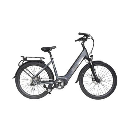 China Clothing 36V 250W Super Powerful Mains Motor Electric Bike for sale