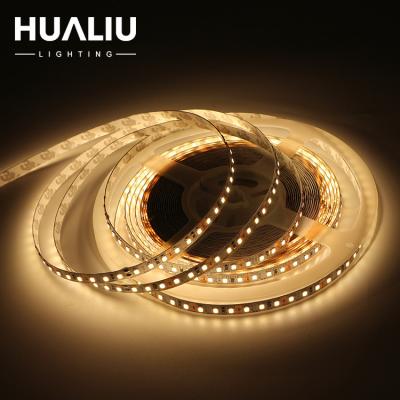 China Decorative Lights 12v 24v 4w 11w 20.8w 60 High Brightness 120 LED Strip Light 240Leds 2835 Flexible Led for sale