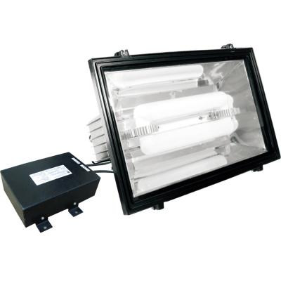 China Outdoor Sports Stadiums JK ZY Series Long Life Induction Lamp 120w 150w 200w Flood Light Stadium for sale