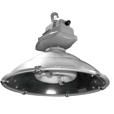 China Warehouse JK GC40 Series No Shade Uniform Light IP65 High Bay Induction Light 100w 150w 200w for sale