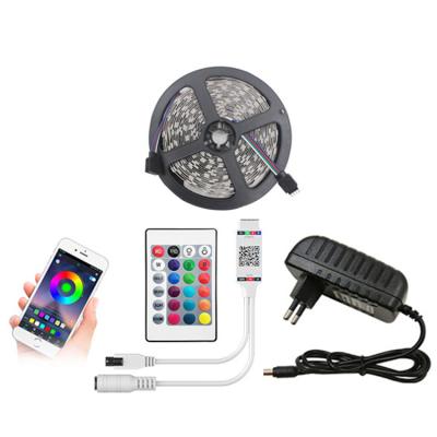 China Ip65 Holiday Patio Light 5050 SMD Dimmable Portable Waterproof Garden RGB LED Strip Lights for sale