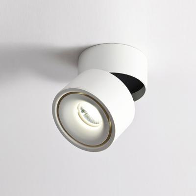 China New Modern Commercial Modern Spot Light Aluminum Indoor COB 8w LED Spotlight Track Light for sale