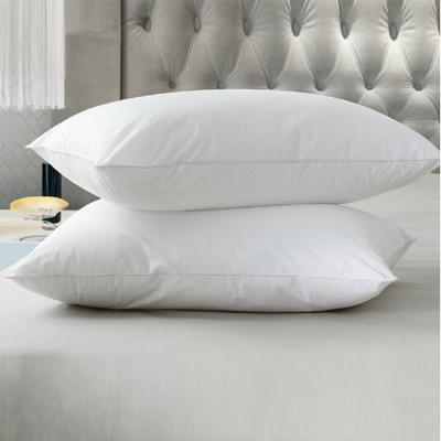 China Sustainable Luxury Cheap 100% Cotton Fabric Microfiber Pillow For Hotel And Hospital for sale