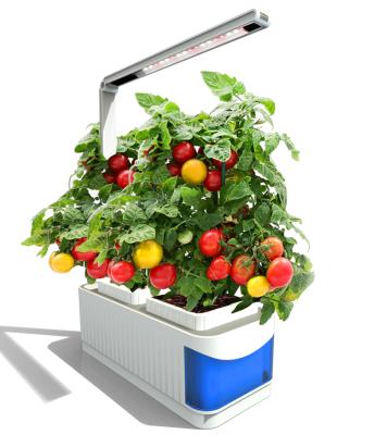 China FLOWER Home Plant Flower Pot Cultivation Vegetable Growing Machine Hydroponic Planting Intelligent Soilless Lamp for sale