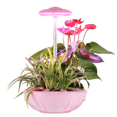 China Lazy Planting Lazy Planting Flower Pot Lazy Plants Smart Plants Growth Lamp Indoor Projection Lamp for sale