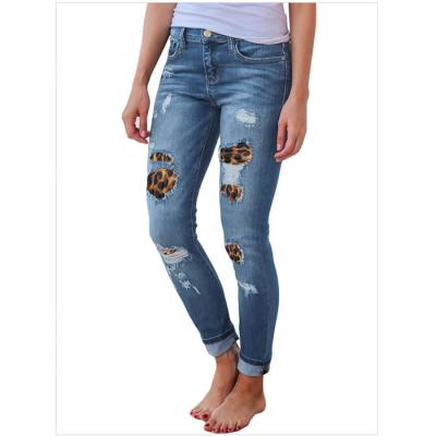 China Plus Size Plus Size Woman Leopard Patch Detail Blue Distressed Jeans for sale