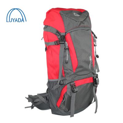 China Softback China Outdoor Waterproof Hiking Backpacks For Men for sale