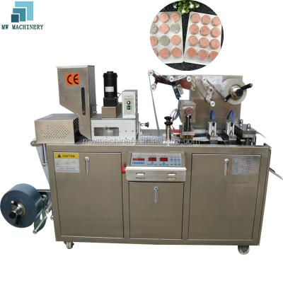 China Automatic Food Toothbrush Blister Packaging Machine, Blister Packing Machine for sale