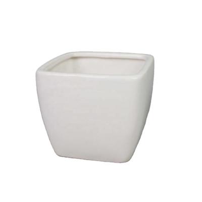 China Cactus Plant Pot Flower Pot Accessories Equipments Plant Minimalist Ceramic Gardening Pot for sale