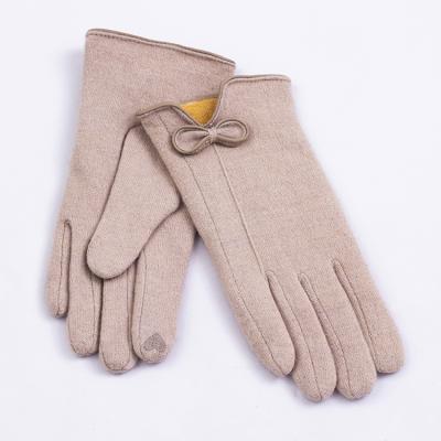 China Factory Direct Women's Winter Touch Screen Outdoor Warm Fleece Gloves Plain for sale