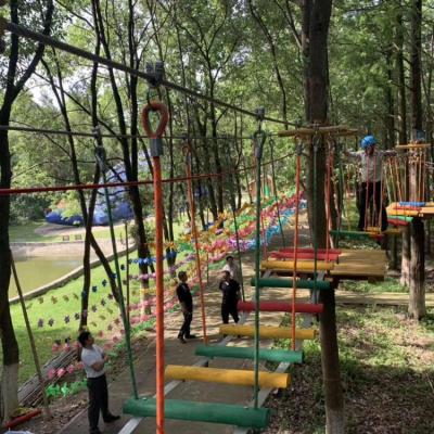 China Children Playing High Indoor Tree Tops Low Kids Challenge Aerial Adventure Outdoor Fitness Protective Device Rope Ropes Hunt Adventure Park for sale