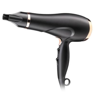 China DC Ion Electric Motor Professional Hair Dryer Hair Dryer for sale