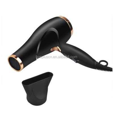 China Professional Ionic Hair Dryer Parts Hair Dryer Accelerator Product FP-1615 for sale