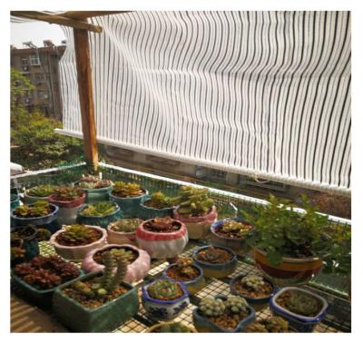 China Custom Shade Greenhouse Shade Net Climate Screen Outdoor Shading PE Dispersion Net for sale