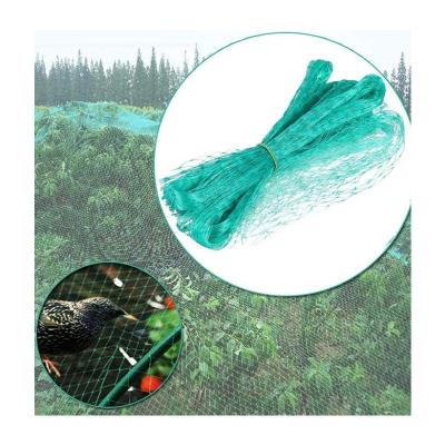 China Plastic Wire Net Black Single Color HDPE Anti Bird Protection Net High Quality for sale