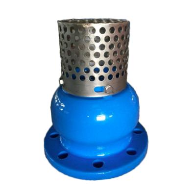 China General DN80 PN16 Ductile Iron Water Flanged Foot Valve With 304 Strainer for sale