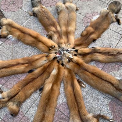 China Wholesale Auto Upholstery Factory Raw Hair Long Fox Fur Skins White Or Red Or Dyed And Real Soft Silver for sale