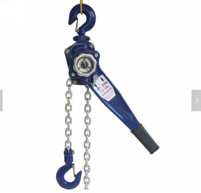 China Crane Lifting Equipment 0.75t Lever Mini Construction Lift HSH Crane for sale